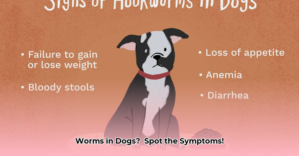 can-worms-cause-weight-loss-in-dogs